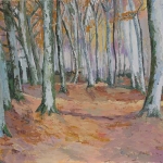 Cossonay forêt