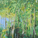 Les reflets de la Venoge