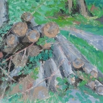 Les troncs d'arbres